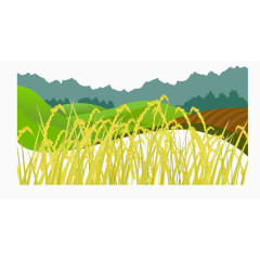 矢量金黄色田里麦子丰收