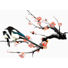 冬天梅花喜鹊
