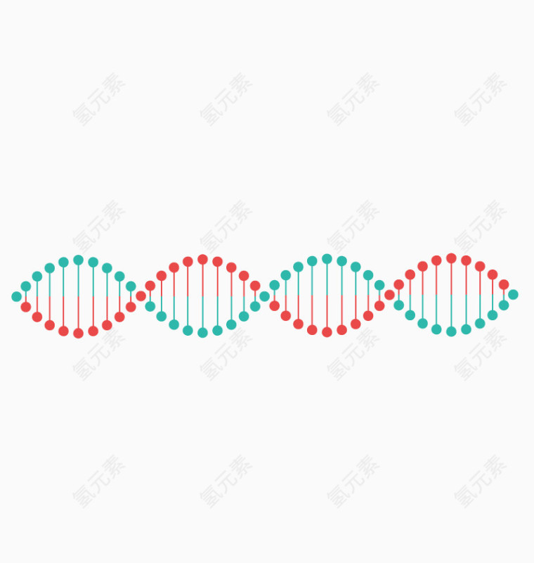 矢量DNA