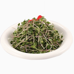 酸甜果酱萝卜苗图片