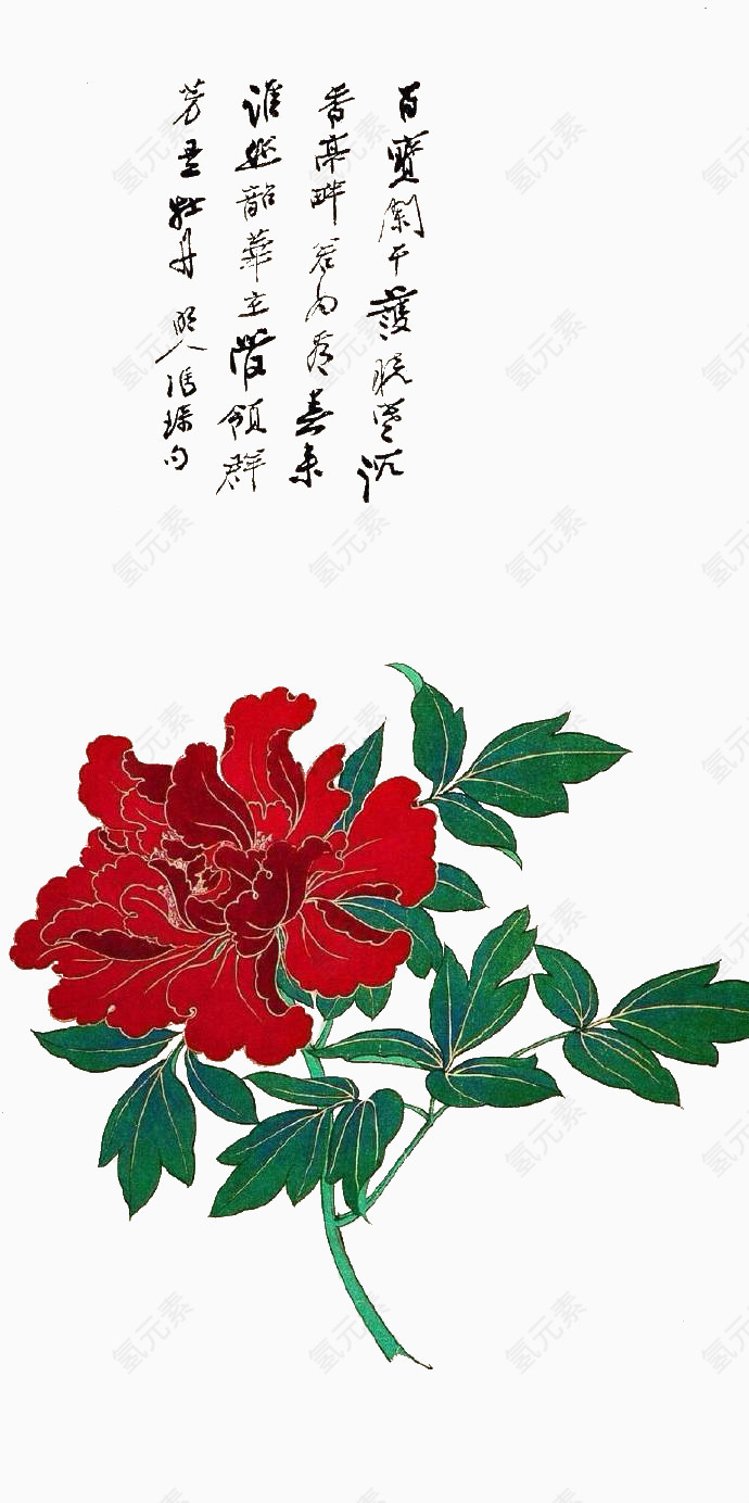 红色杜鹃花