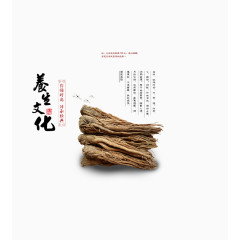 养生文化