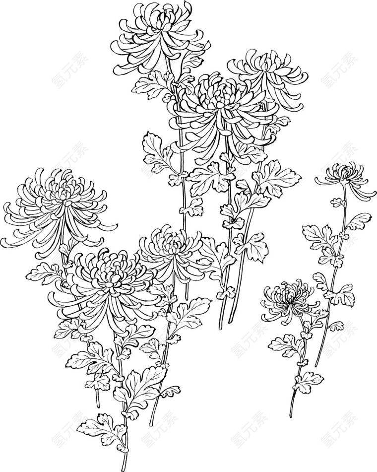 日本花草矢量素材