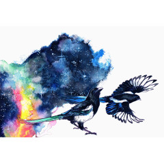 星空和鸟