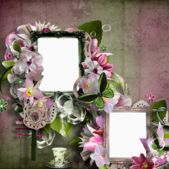 花卉泡泡相框