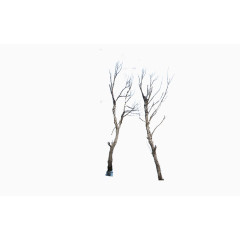 干树枝素材图案