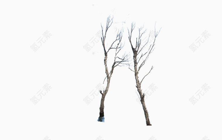 干树枝素材图案