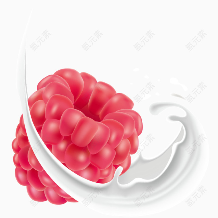 矢量手绘树莓