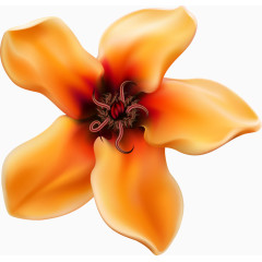 矢量橙色花朵
