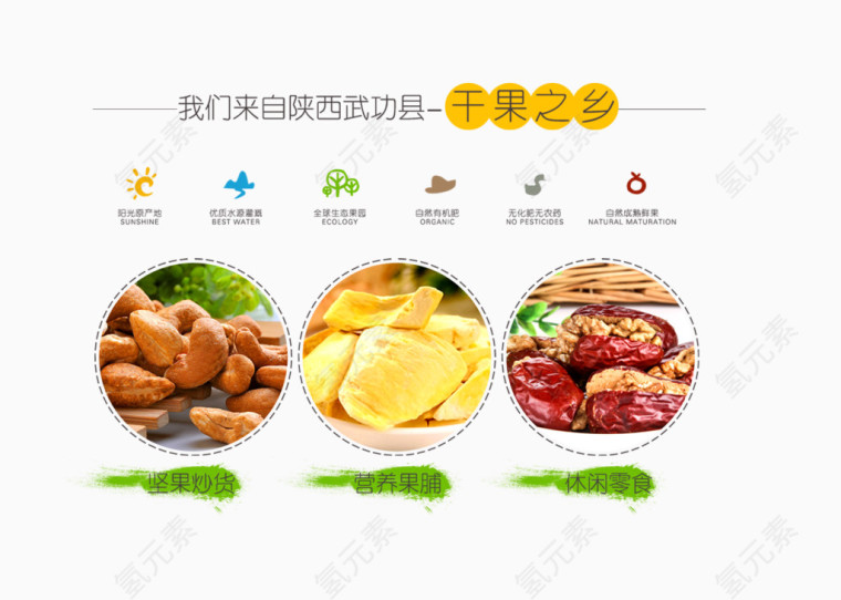 干果宣传画
