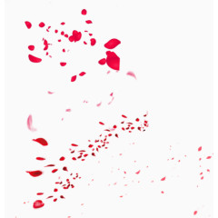 花瓣，漂浮花瓣，红色，淘宝配景