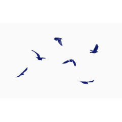 漂浮飞鸟装饰