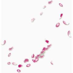 漂浮粉花瓣