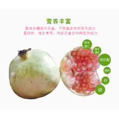 石榴水果免费素材下载