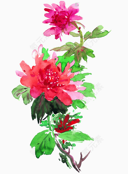水彩墨花   装饰    艺术