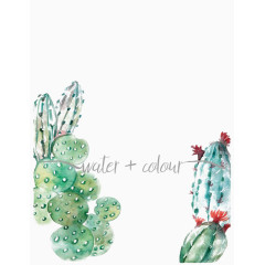 水彩仙人掌