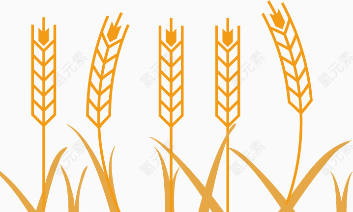 精美麦子设计模板矢量素材