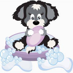 洗澡玩耍的小狗狗