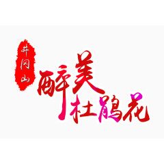 醉美杜鹃花