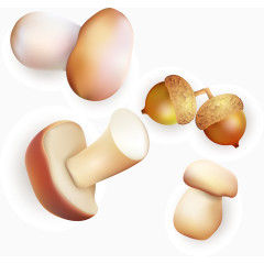 蘑菇松子自然食物矢量