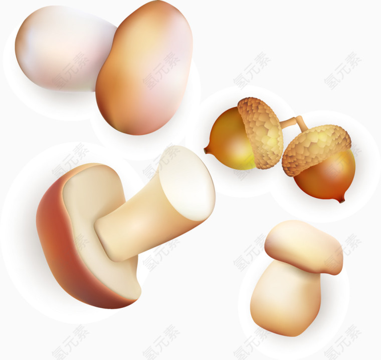 蘑菇松子自然食物矢量