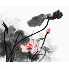 中国风水墨荷花