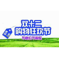 双十二购物标题
