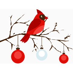 树枝上的红色小鸟