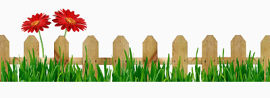 花草围栏