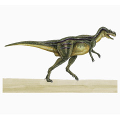 肌肉发达的恐龙