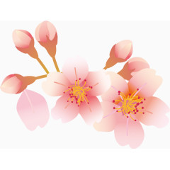 樱花花瓣元素