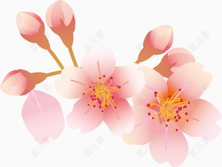 樱花花瓣元素
