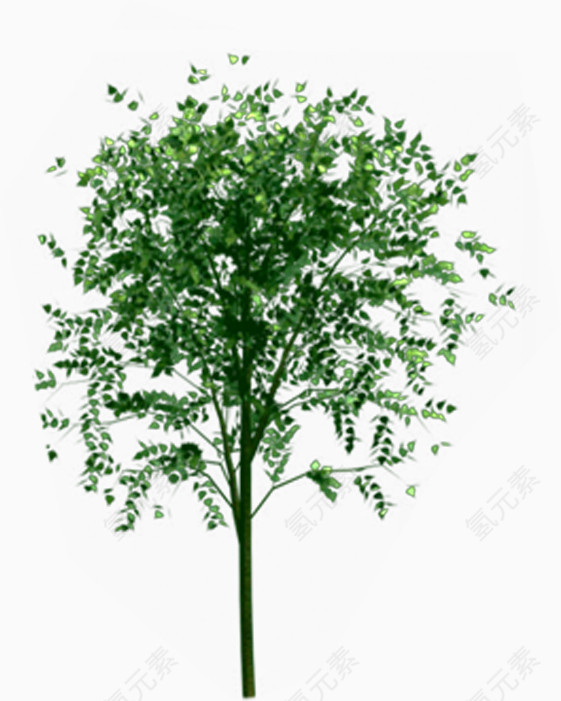 榕树绿树景观树效果贴图