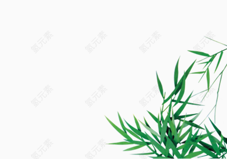绿色竹叶