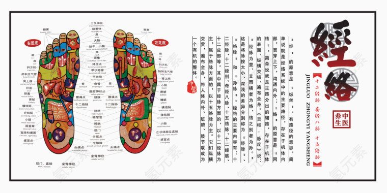 中医展牌图片