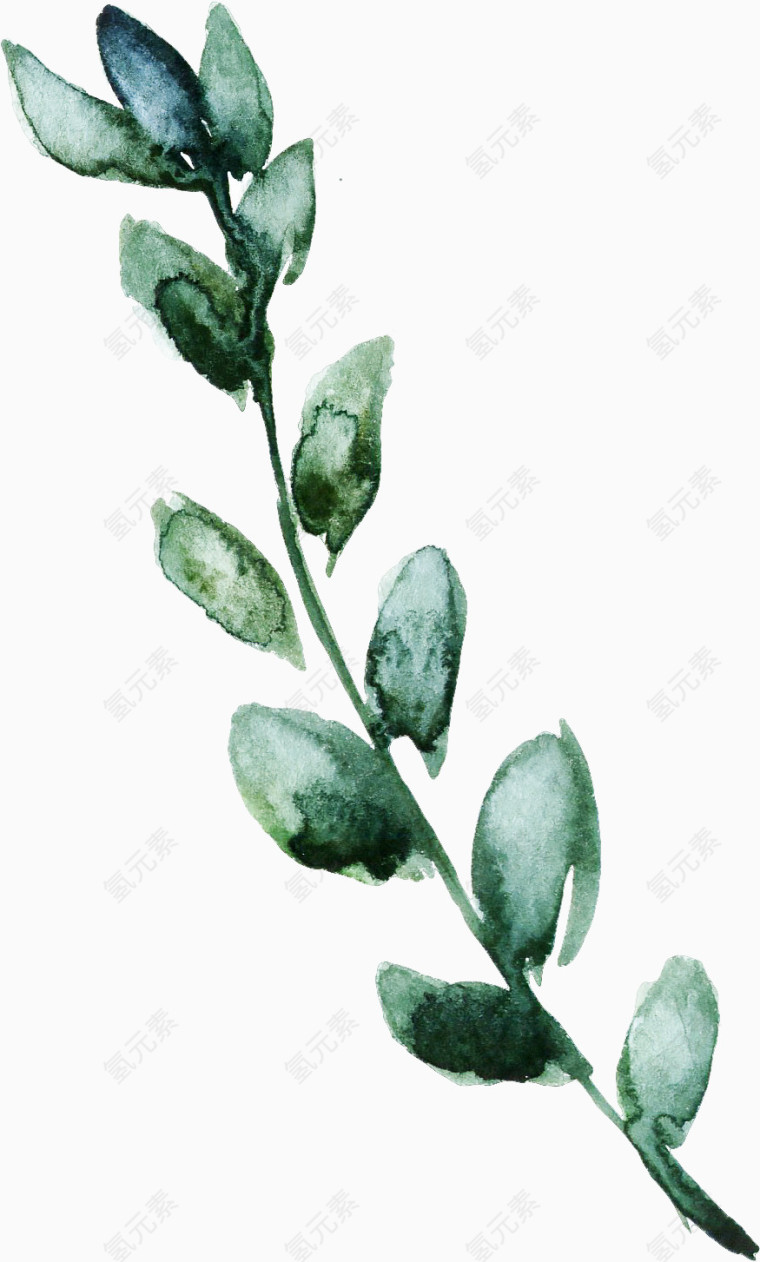 水彩复古绿色盆栽树枝叶片