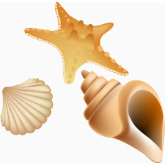 贝壳矢量素材唯美淡雅海星
