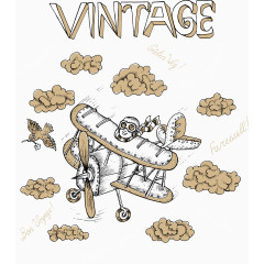 装饰卡哇伊飞行员和飞机