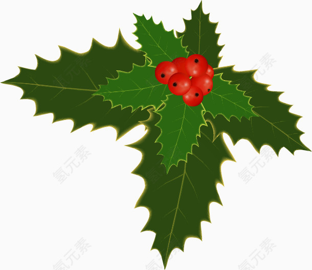 绿色不规则形状树叶