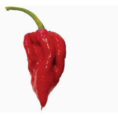 新鲜红辣椒