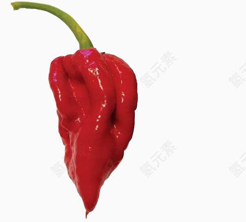 新鲜红辣椒