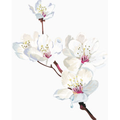 一枝矢量图桃花梅花