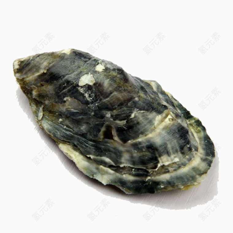 新鲜牡蛎
