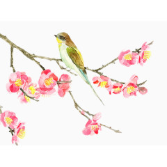 二十四番花信风-小寒-一侯梅花