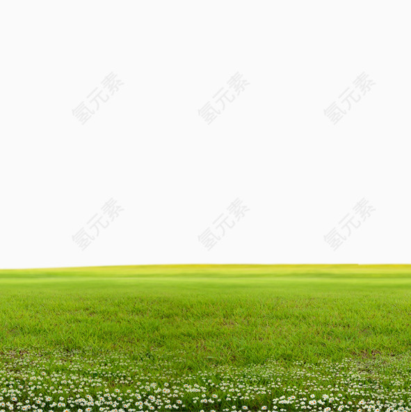 草坪