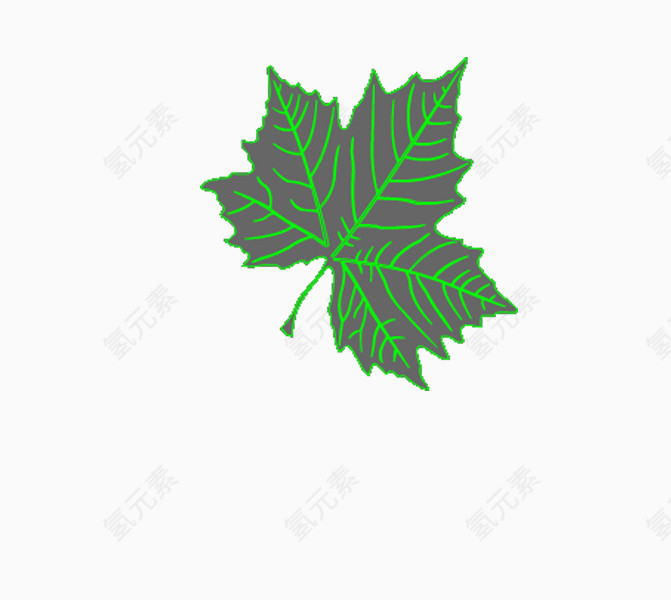 自然的标本