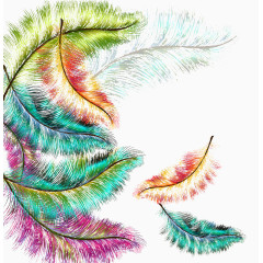 彩色羽毛背景图片