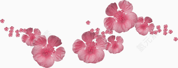 粉红桃花