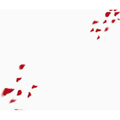 撒落的红色花瓣雨