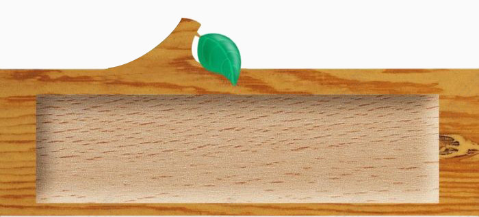 绿叶木纹标题栏